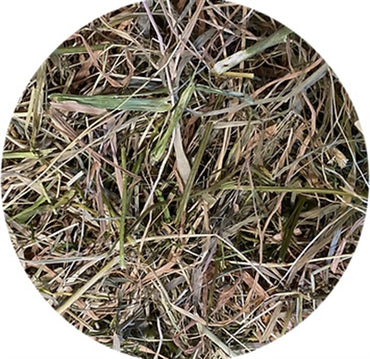 Utopia Mit Petersilie