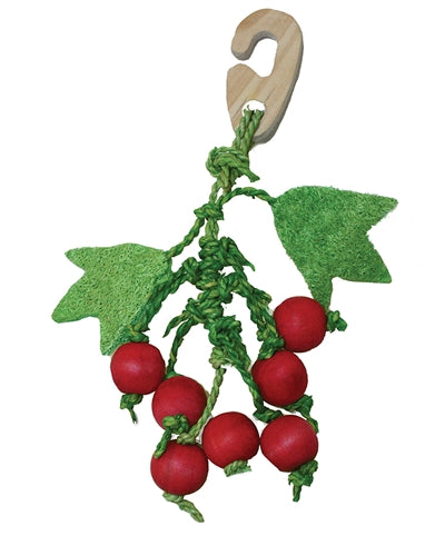 Critter's Choice GlÃ¼cklicher Haustierknabber Beerenstrauss