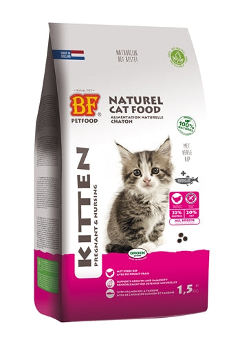 Bf Petfood Premium Quality KatzenkÃ¤tzchen TrÃ¤chtig / SÃ¤ugend