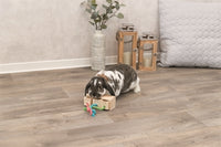 Trixie-Snack-WÃ¼rfel Holz