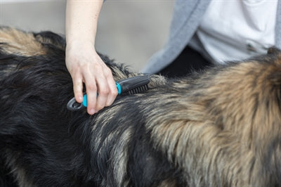 Trixie-Coat-Entfetter Gebogene ZÃ¤hne