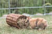 Trixie-Weiden-Tunnelkaninchen