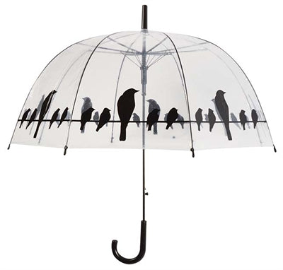 Markenlos SchirmvÃ¶gel Auf Draht Transparent / Schwarz