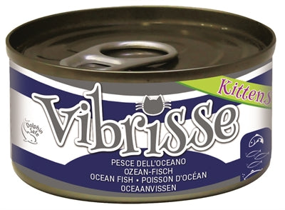 Vibrisse KÃ¤tzchen Katze Ozean Fisch