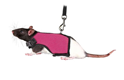 Trixie-Weichgeschirr Mit GÃ¼rtel FÃ¼r Ratten Sortiert