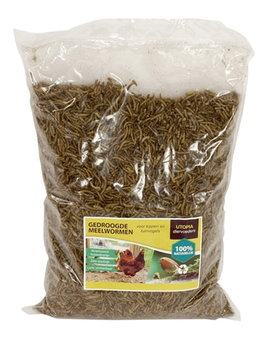Utopia FÃ¼r HÃ¼hner Und GartenvÃ¶gel