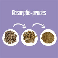 Easypets Biologisch Abbaubare Klassische Holzpellets Katzenstreu