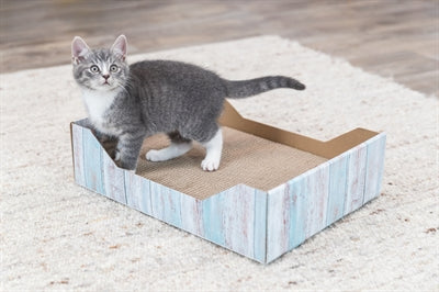 Trixie Katzenminze TÃ¼rkis