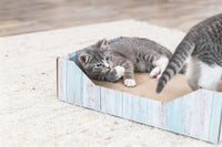 Trixie Katzenminze TÃ¼rkis