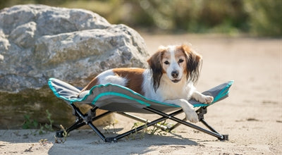 Trixie FÃ¼r Hund Dunkelgrau / Petrol