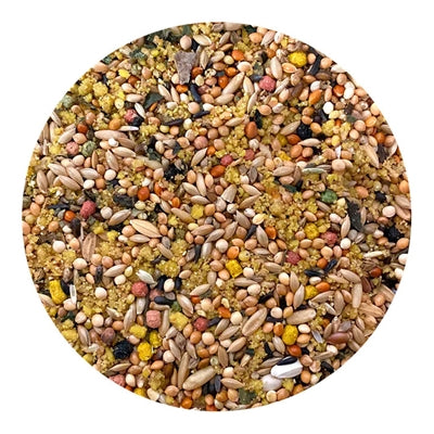 Utopia SpitzenqualitÃ¤t