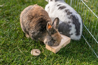 Trixie FÃ¼r Ratten Und Kaninchen Holz