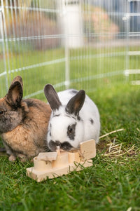 Trixie FÃ¼r Ratten Und Kaninchen Aus Holz