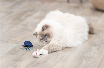 Trixie Meerestier PlÃ¼sch Mit Katzenminze Sortiert