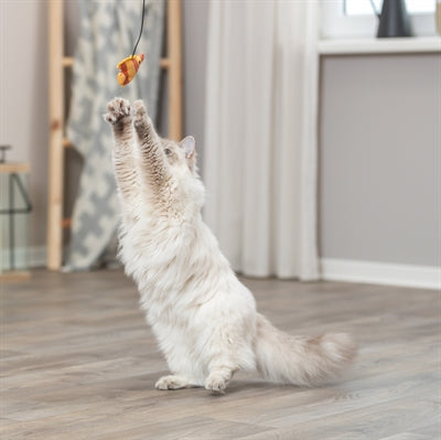 Trixie Katze Angelrute Fisch Plastik / PlÃ¼sch