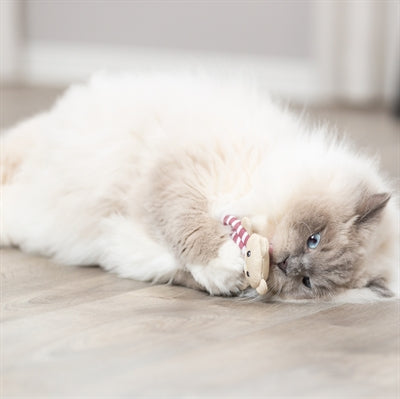 Trixie BÃ¤renstoff Mit Katzenminze