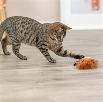 Trixie EichhÃ¶rnchen PlÃ¼sch Mit Federschwanz Mit Katzenminze