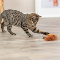 Trixie EichhÃ¶rnchen PlÃ¼sch Mit Federschwanz Mit Katzenminze