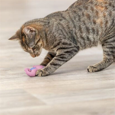 Trixie Seepferdchen PlÃ¼sch Mit Katzenminze Sortiert