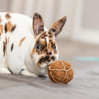 Trixie Kokosbal