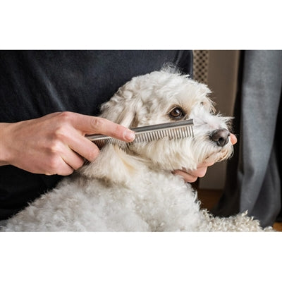 Mikki Doodle-Pflegeset Mit Kamm Und Slicker-BÃ¼rste