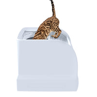 Imac Katzentoilette Frida Mit Schublade GrÃ¼n