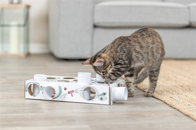 Trixie Katze AktivitÃ¤t Paws'n'treats Box Karton