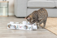 Trixie Katze AktivitÃ¤t Paws'n'treats Box Karton