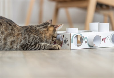 Trixie Katze AktivitÃ¤t Paws'n'treats Box Karton