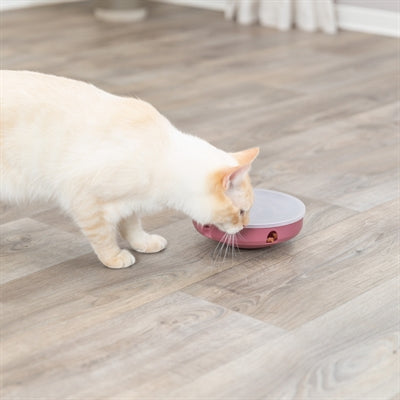 Trixie Katze AktivitÃ¤t Schaukellabyrinth Kunststoff