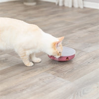 Trixie Katze AktivitÃ¤t Schaukellabyrinth Kunststoff