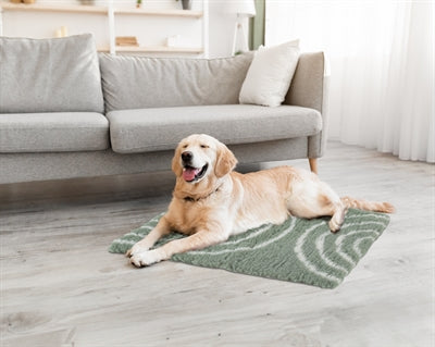 Zolux Hundedecke Bogen GrÃ¼n