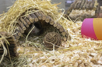 Happy Pet GlÃ¼ckliche MÃ¼tze Spielzeugweide