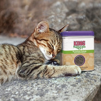 Kong Cat Catnip NachfÃ¼llen