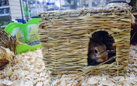 Nature First GlÃ¼ckliches Haustier Gras-Versteck